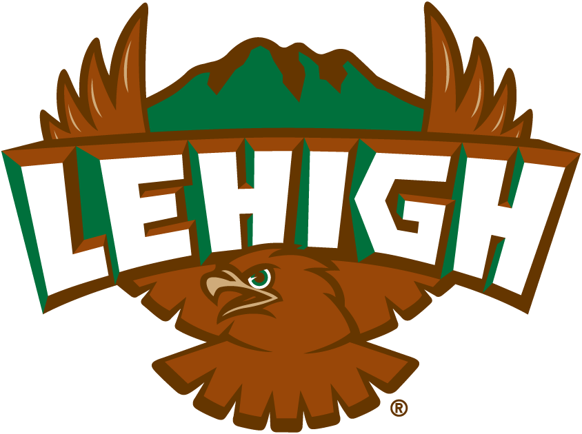 Lehigh Mountain Hawks 1996-2003 Primary Logo diy DTF decal sticker